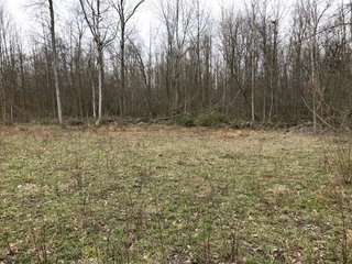 Property photo 43 - LAND AUCTION - 156.63+/- ACRES OFFERED IN 7 TRACTS IN ALLEN COUNTY, INDIANA